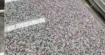 北京 芙蓉白光面