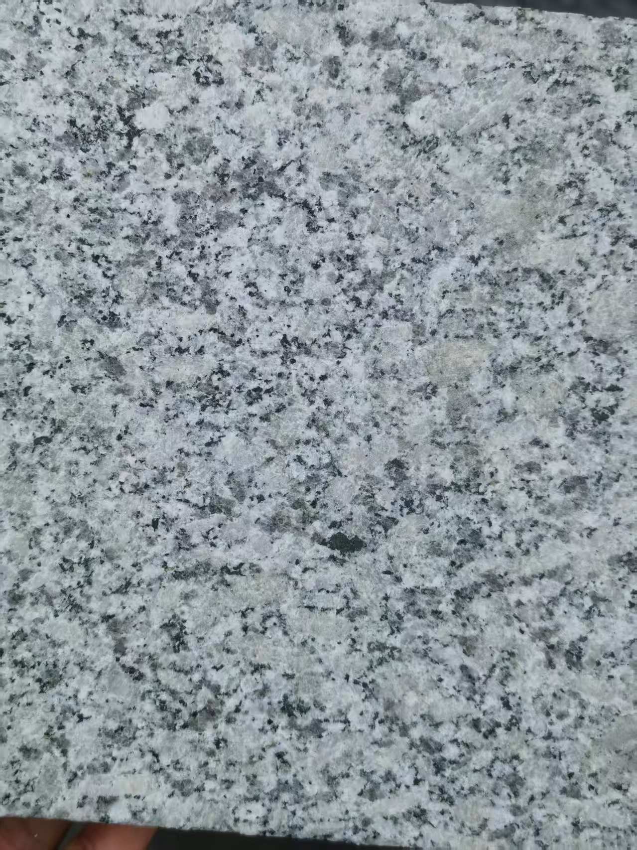 北京 芙蓉白火烧面